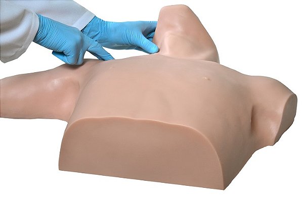 SIMULADOR DE PICC LINE